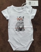 body 68 kot kotek krótki rękaw 5.10.15 