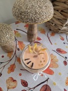 CIASTO DYNIOWE sojowa świeca z drewnianym knotem 235ml 