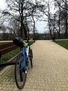 pinarello surprise /campagnolo centaur 2x10 i 3x10