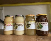 Polski miód akacjowy, wielokwiatowy, rzepakowy i gryczany z własnych pasiek