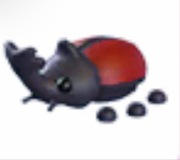 Rhino Beetle - Adopt Me Roblox
