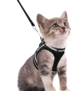 RABBITGOO Szelki i smycz dla kota rozmiar S