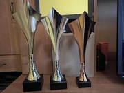 Zestaw 3 pucharów + grawer gratis