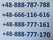 złoty numer888787788 666116616 888777170 888777161