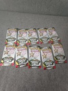 Pokemon TCG Fun pack mega Evolution Perfect order zestaw 10 saszetek 