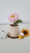 Kwiaty w doniczce na szydełku Stokrotka 3d