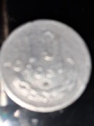 10 groszy 1949 bez znaku mennicy aluminium 