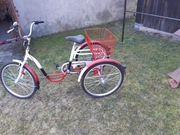 Rower trojkołowy Eco Textil 24, 3 biegi nexus