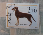 Znaczek pocztowy ogar polski 