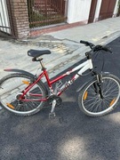 Rower WHEELER PRO 600 '26