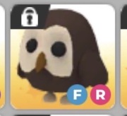 Roblox Adopt me Owl FR