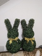 Para zajączków z bukszpanu 