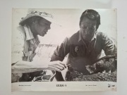 FOTOS - SZCZĘKI 2 (4)
