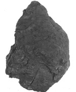 LIGNIT  DO AKWARIUM GL6