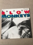 The Blow Monkeys - It Doesen’t Have To Be This Way(long). Vinyl,Maxi.