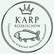 Świąteczny Karp 25 PLN Amur 24 PLN 