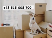 Tanie przeprowadzki Przewóz mebli Transport bus Bagażówka