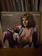 PETER FRAMPTON IM IN YOU
