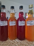 Kombucha z czarnym bzem