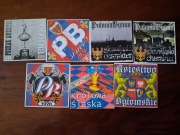 Vlepki Polonia Bytom Unikatowe #3