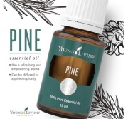 Young Living Pine (sosna) olejek eteryczny 15 ml