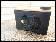 RANICA P66 kamera otworkowa - Nowa