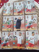 Karty Panini reprezentacji 
