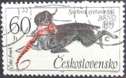 Czechosłowacja 1965 r. Pies