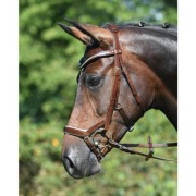 BUSSE Modena ogłowie anatomiczne EQUKAMELA ogłowia