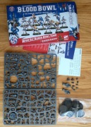 High Elf - Blood Bowl - The Caledor Dragons (niekompletny box - 9 modeli)