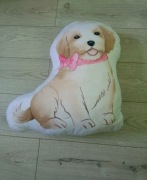 Poduszka ozdoba piesek