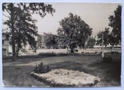 OPOLE SKWER NA PLACU WOLNOŚCI 