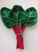 Warzywa i owoce na szydełku Amigurumi - rabarbar