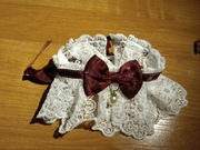 Kołnierz ozdoba dla pupila psa lub kota L