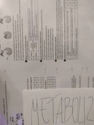 Biologia materiały do nauki metabolizm enzymy oddychanie fotosy sprawdziany