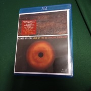 Kings of Leon bluray 
