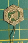 Stara spinka znaczek pins XX lat związku kynologicznego w polsce