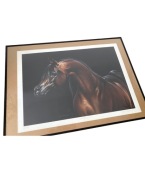 Konie arabskie - Emerald J – Zbigniew Kotowski | Limitowany Print 4/50