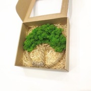 Drzewko Szczęścia Chrobotek, oryginalny prezent na każdą okazję 30cm