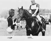 KARINO reż.Jan Batory fotografia fotos filmowy koń Iwno 24x30