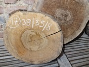 ORZECH CZARNY Amerykański 39/35/8 cm Wysuszony Blat Plaster Drewna Stolik