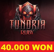 TUNDRIA RUBY WONY 40.000 WON 40kw WONY WONÓW TUNDRIA2 TUNDRIAII AKADEMIA