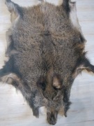 Skóra z Dzika XXL Naturalna