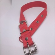 Obroża dla psa 25mm/85 cm różne kolory do wyboru