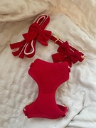 Zestaw dla psa szelki, smycz i obroża rozmiar S