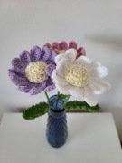 Kwiaty na szydełku Stokrotka afrykańska.