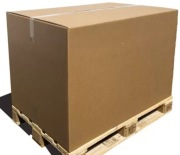 Zwroty amazon zwierzęta dziecko