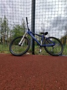 Wheeler Buddy 04
