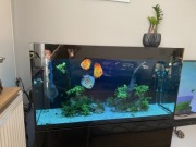 Akwarium Aquael 240L