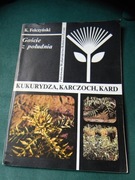Kukurydza Karczoch Kard Felczyński